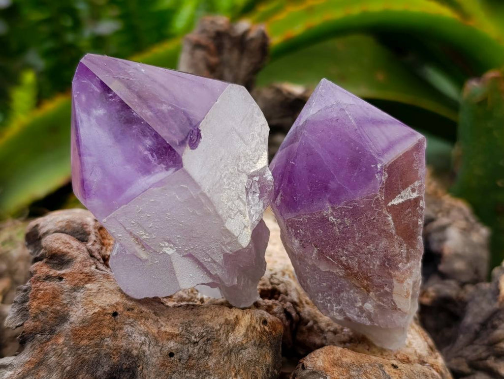 Polished Jacaranda Amethyst Quartz Crystals x 12 From Mumbwa, Zambia - Toprock Gemstones and Minerals 