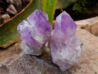 Polished Jacaranda Amethyst Quartz Crystals x 12 From Mumbwa, Zambia