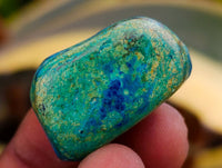 Polished Azurite And Flower Banded Malachite Free Forms x 70 From Congo