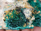 Natural Botryoidal Malachite Specimens x 3 From Congo
