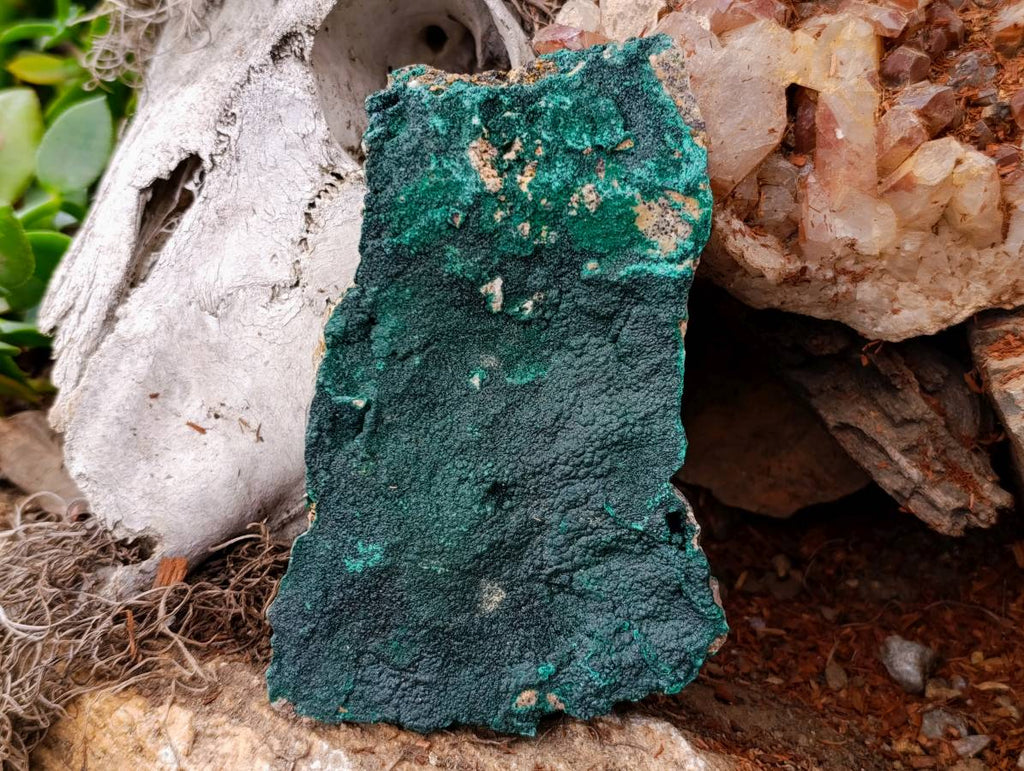 Natural Botryoidal Malachite Specimens x 3 From Congo