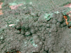 Natural Botryoidal Malachite Specimens x 3 From Congo