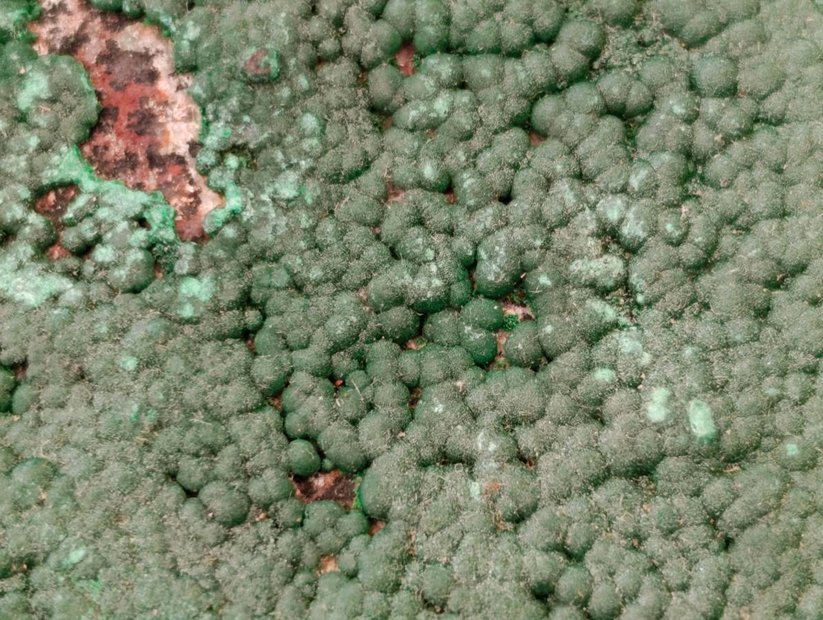 Natural Botryoidal Malachite Specimens x 3 From Congo