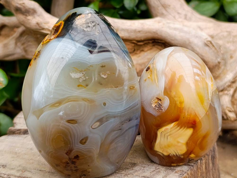 Polished Dendritic Agate Standing Free Forms x 6 From Moralambo, Madagascar