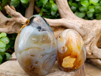 Polished Dendritic Agate Standing Free Forms x 6 From Moralambo, Madagascar