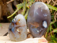 Polished Dendritic Agate Standing Free Forms x 6 From Moralambo, Madagascar