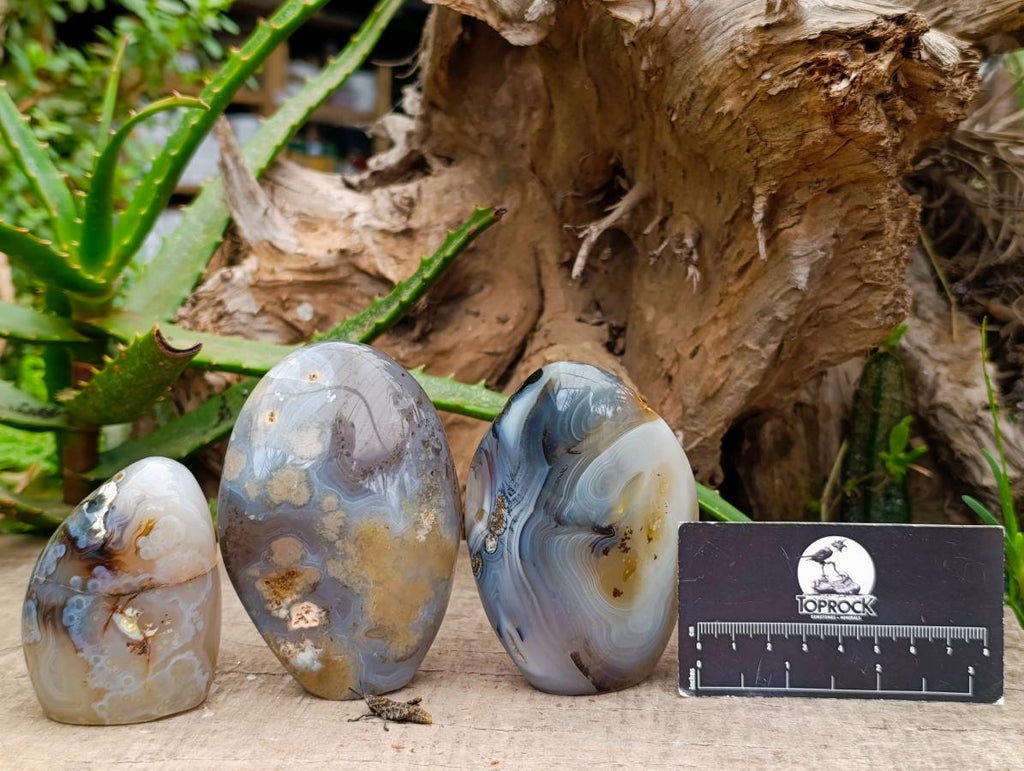 Polished Dendritic Agate Standing Free Forms x 6 From Moralambo, Madagascar
