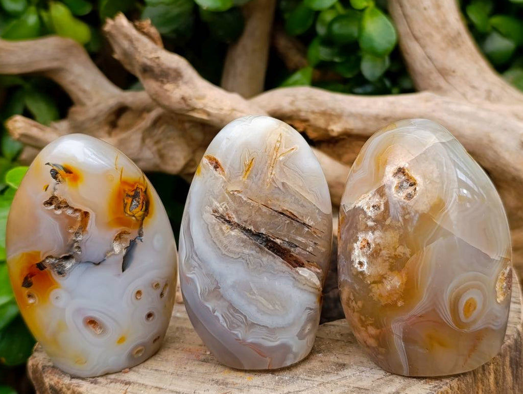 Polished Dendritic Agate Standing Free Forms x 6 From Moralambo, Madagascar