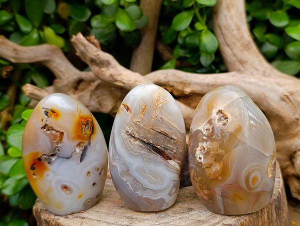 Polished Dendritic Agate Standing Free Forms x 6 From Moralambo, Madagascar