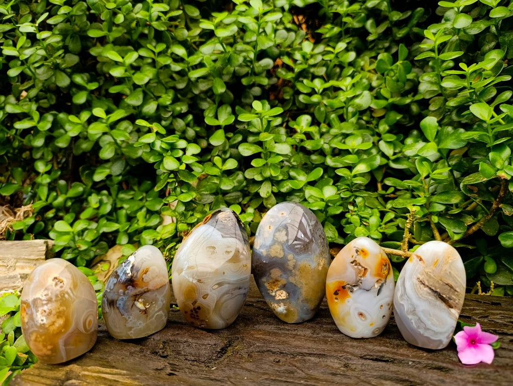 Polished Dendritic Agate Standing Free Forms x 6 From Moralambo, Madagascar