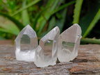 Natural Single Quartz Crystals x 70 From Southern Africa