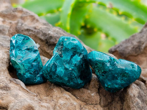 Polished Dioptase Free Forms x 35 From Likasi, Congo