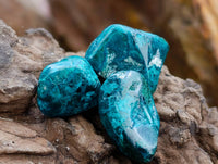 Polished Dioptase Free Forms x 35 From Likasi, Congo