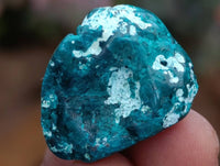 Polished Dioptase Free Forms x 35 From Likasi, Congo