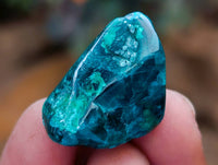 Polished Dioptase Free Forms x 35 From Likasi, Congo
