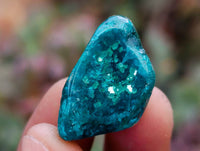 Polished Dioptase Free Forms x 35 From Likasi, Congo