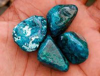Polished Dioptase Free Forms x 35 From Likasi, Congo