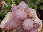 Natural Sunburst Amethyst Spirit Clusters x 4 From Boekenhouthoek, South Africa