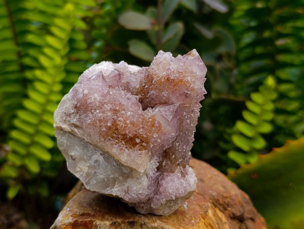 Natural Sunburst Amethyst Spirit Clusters x 4 From Boekenhouthoek, South Africa