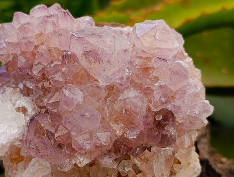 Natural Sunburst Amethyst Spirit Clusters x 4 From Boekenhouthoek, South Africa