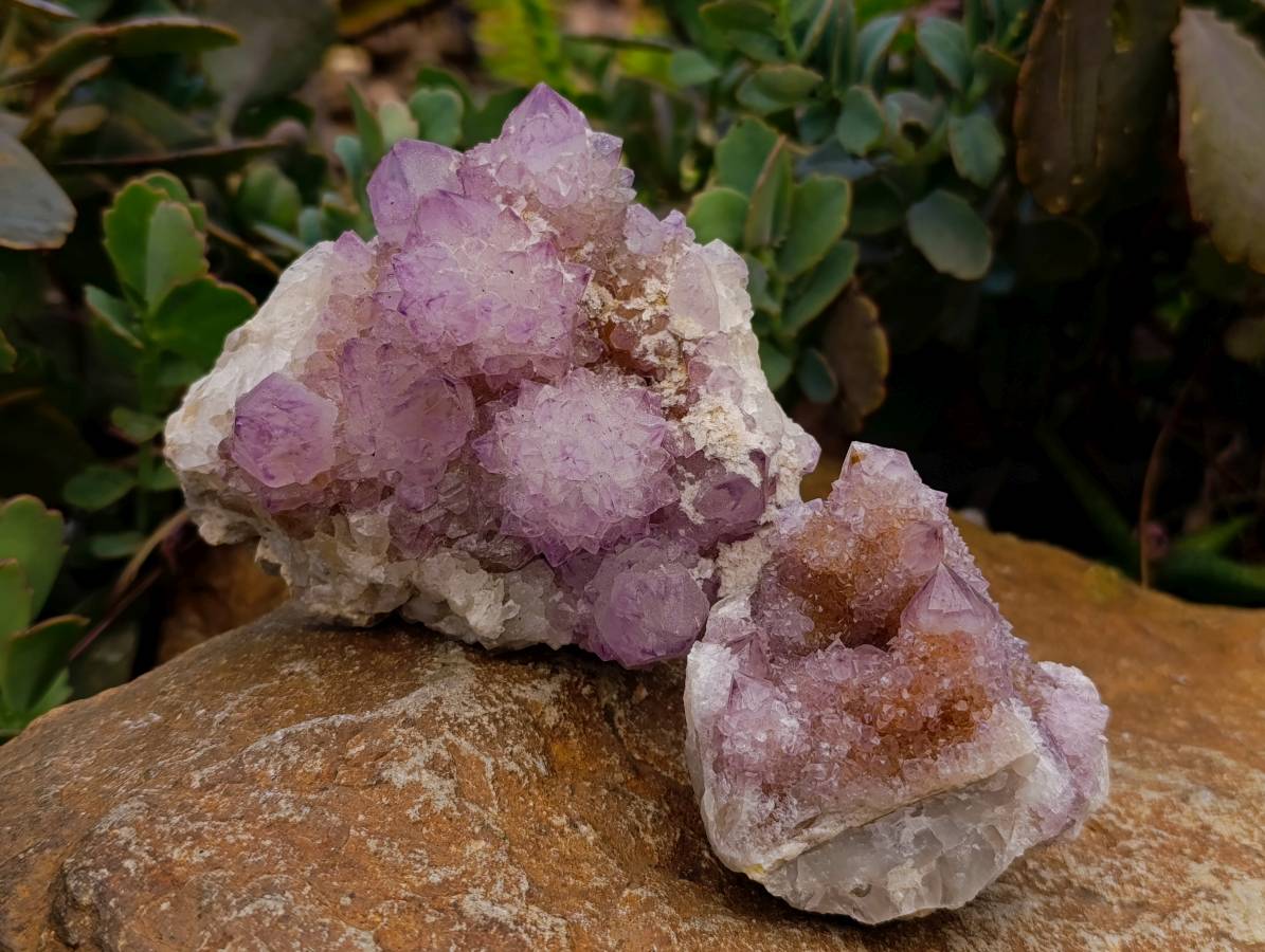 Natural Sunburst Amethyst Spirit Clusters x 4 From Boekenhouthoek, South Africa