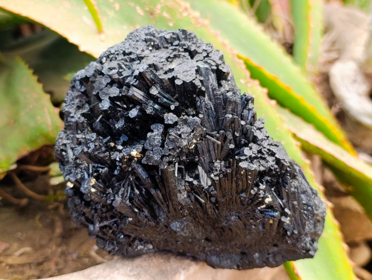Natural Schorl Black Tourmaline Specimens x 2 From Erongo, Namibia