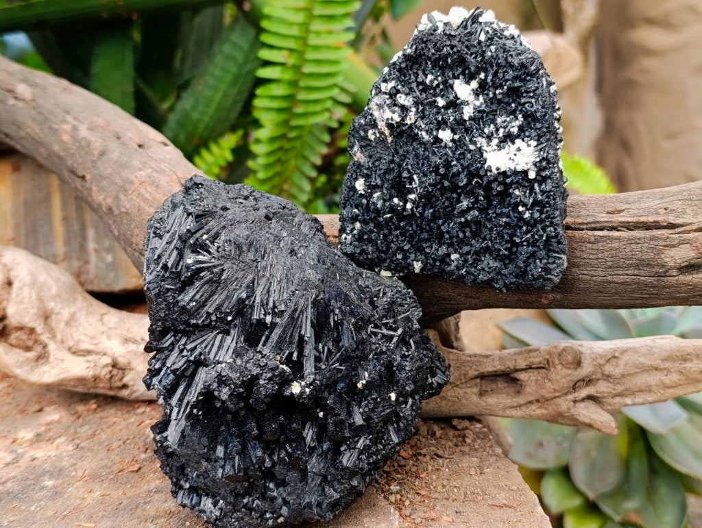Natural Schorl Black Tourmaline Specimens x 2 From Erongo, Namibia
