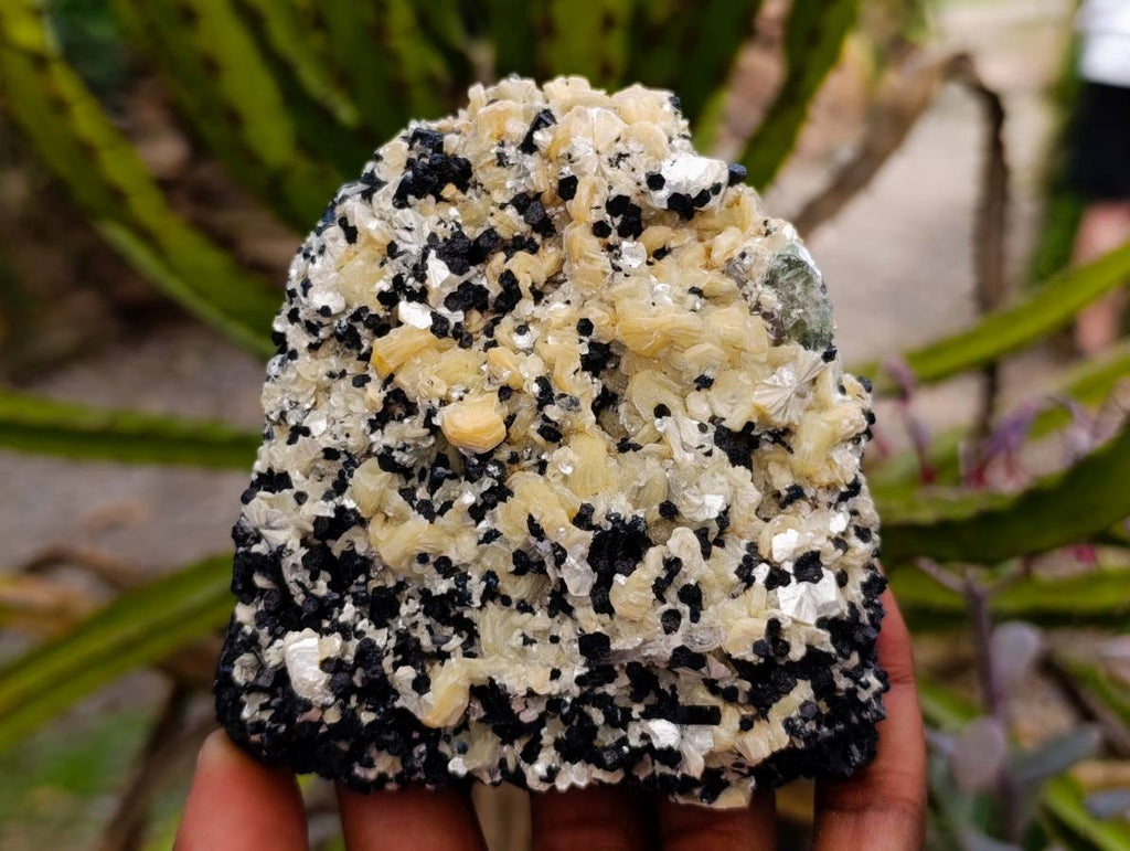 Natural Schorl Black Tourmaline Specimens x 2 From Erongo, Namibia