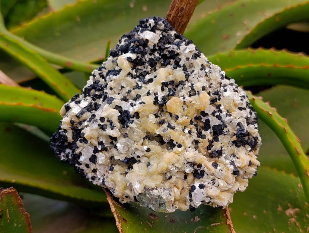 Natural Schorl Black Tourmaline Specimens x 2 From Erongo, Namibia