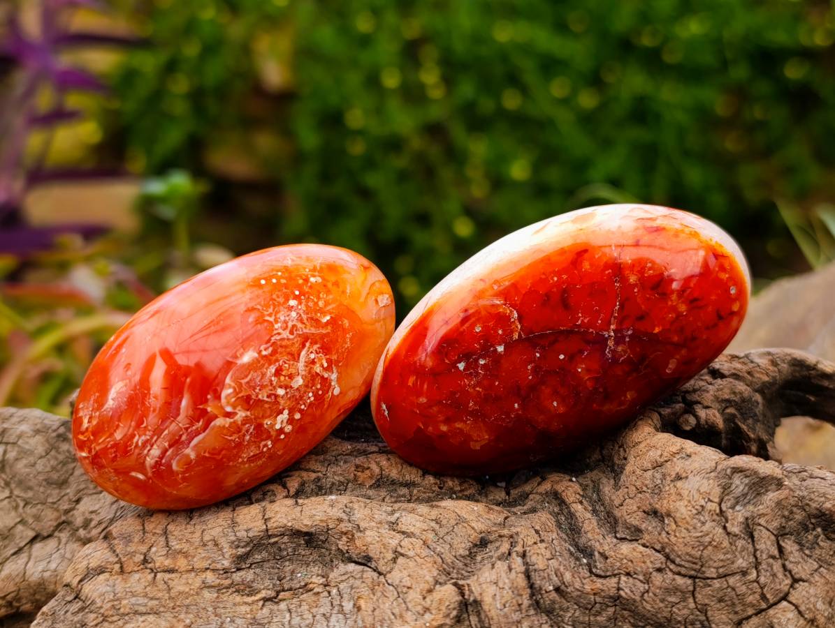 Polished Carnelian Agate Gemstone Galets x 20 From Madagascar
