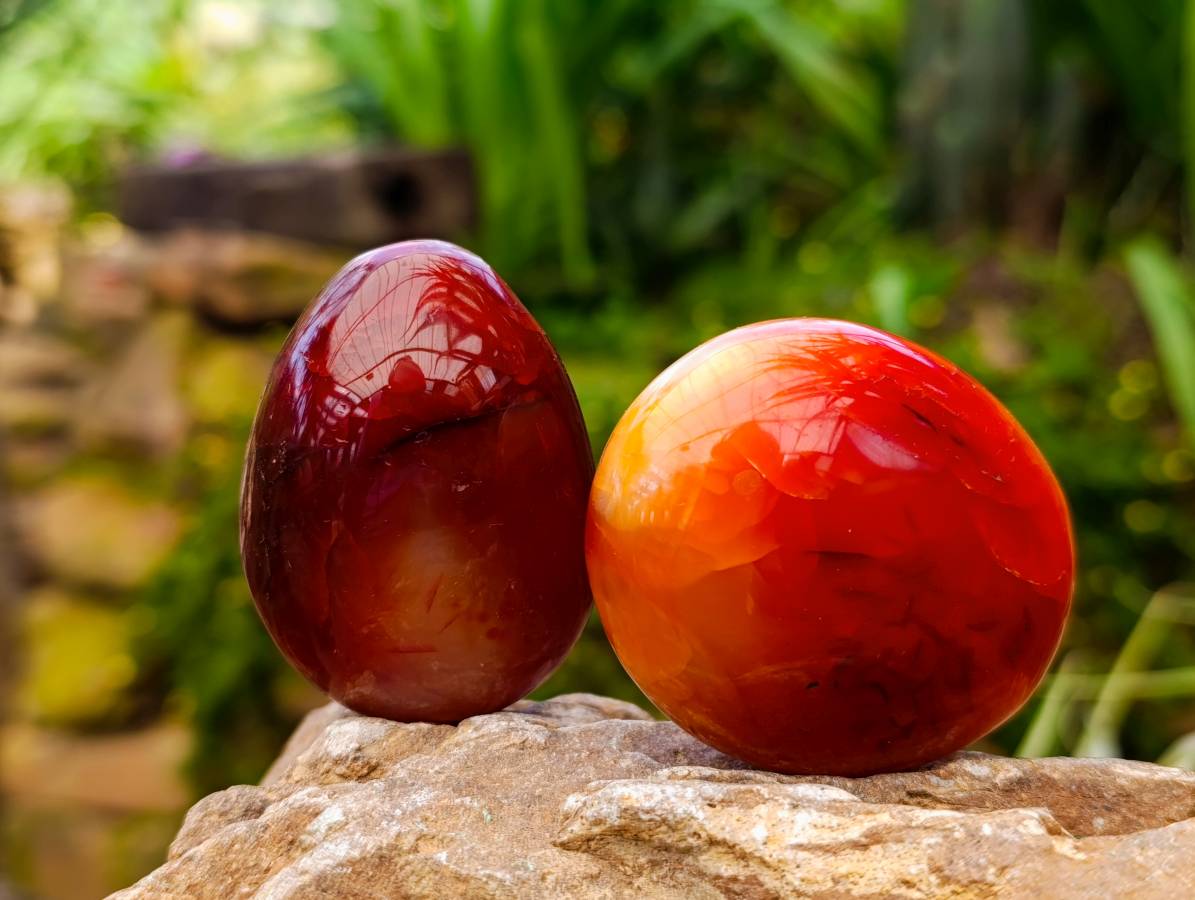Polished Carnelian Agate Gemstone Galets x 20 From Madagascar
