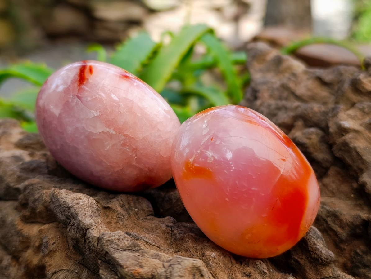 Polished Carnelian Agate Gemstone Galets x 20 From Madagascar