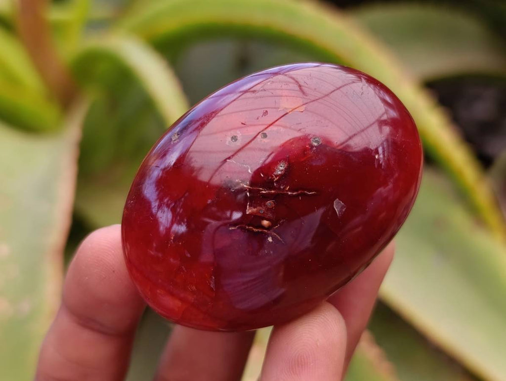 Polished Carnelian Agate Gemstone Galets x 20 From Madagascar