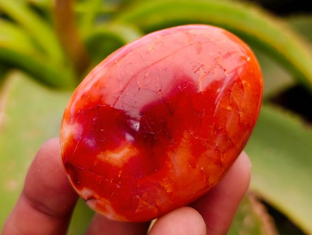 Polished Carnelian Agate Gemstone Galets x 20 From Madagascar