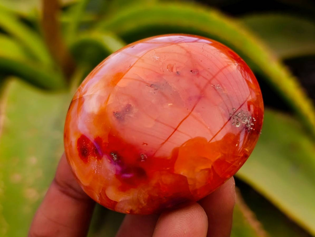 Polished Carnelian Agate Gemstone Galets x 20 From Madagascar