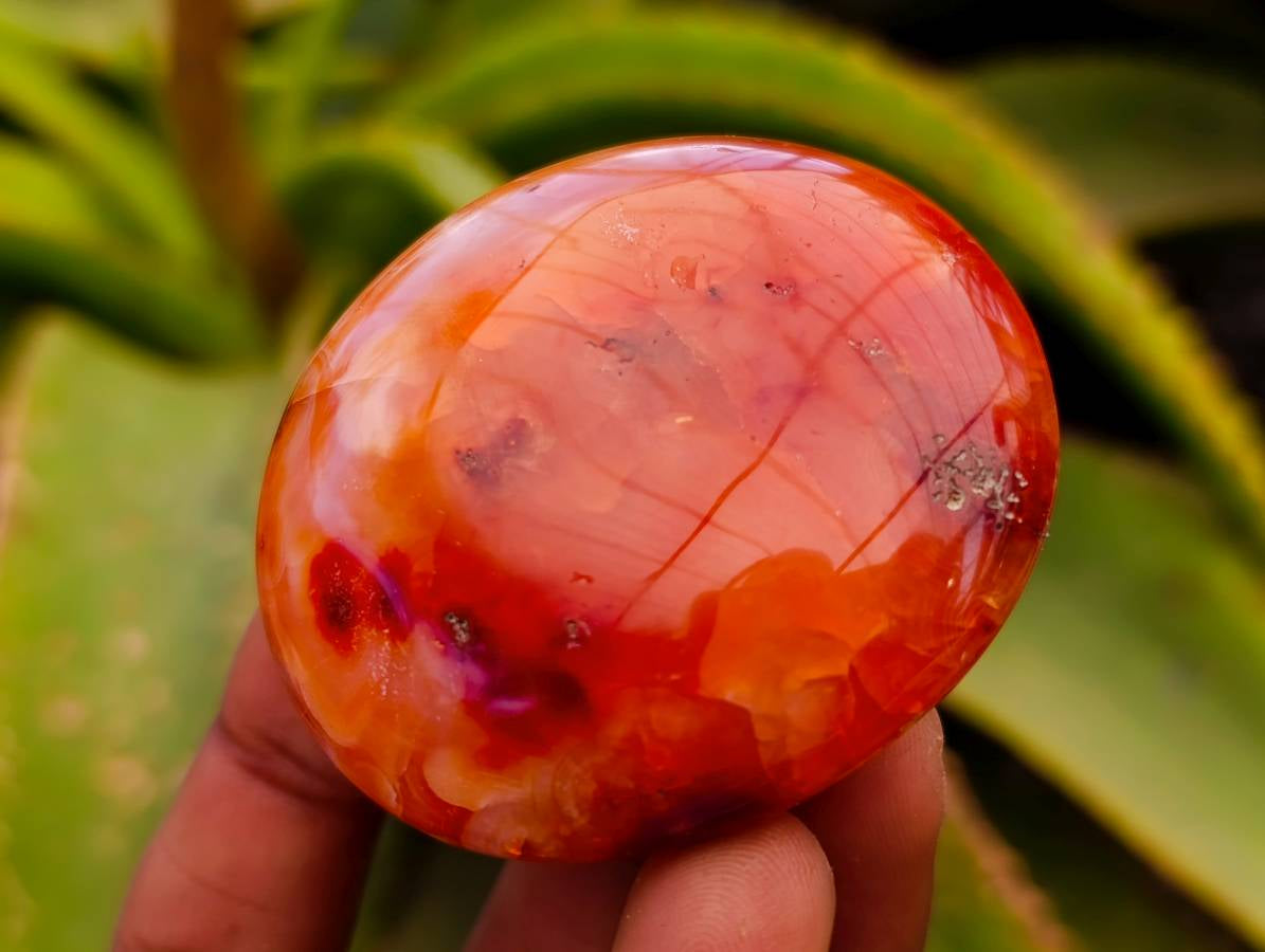 Polished Carnelian Agate Gemstone Galets x 20 From Madagascar