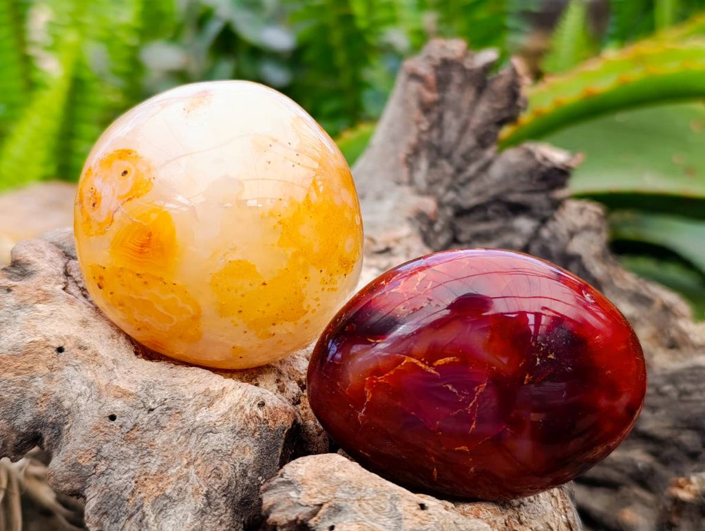 Polished Carnelian Agate Gemstone Galets x 20 From Madagascar