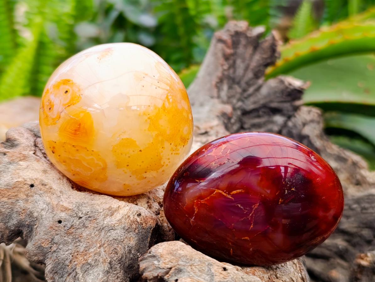 Polished Carnelian Agate Gemstone Galets x 20 From Madagascar