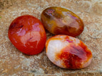 Polished Carnelian Agate Gemstone Galets x 20 From Madagascar