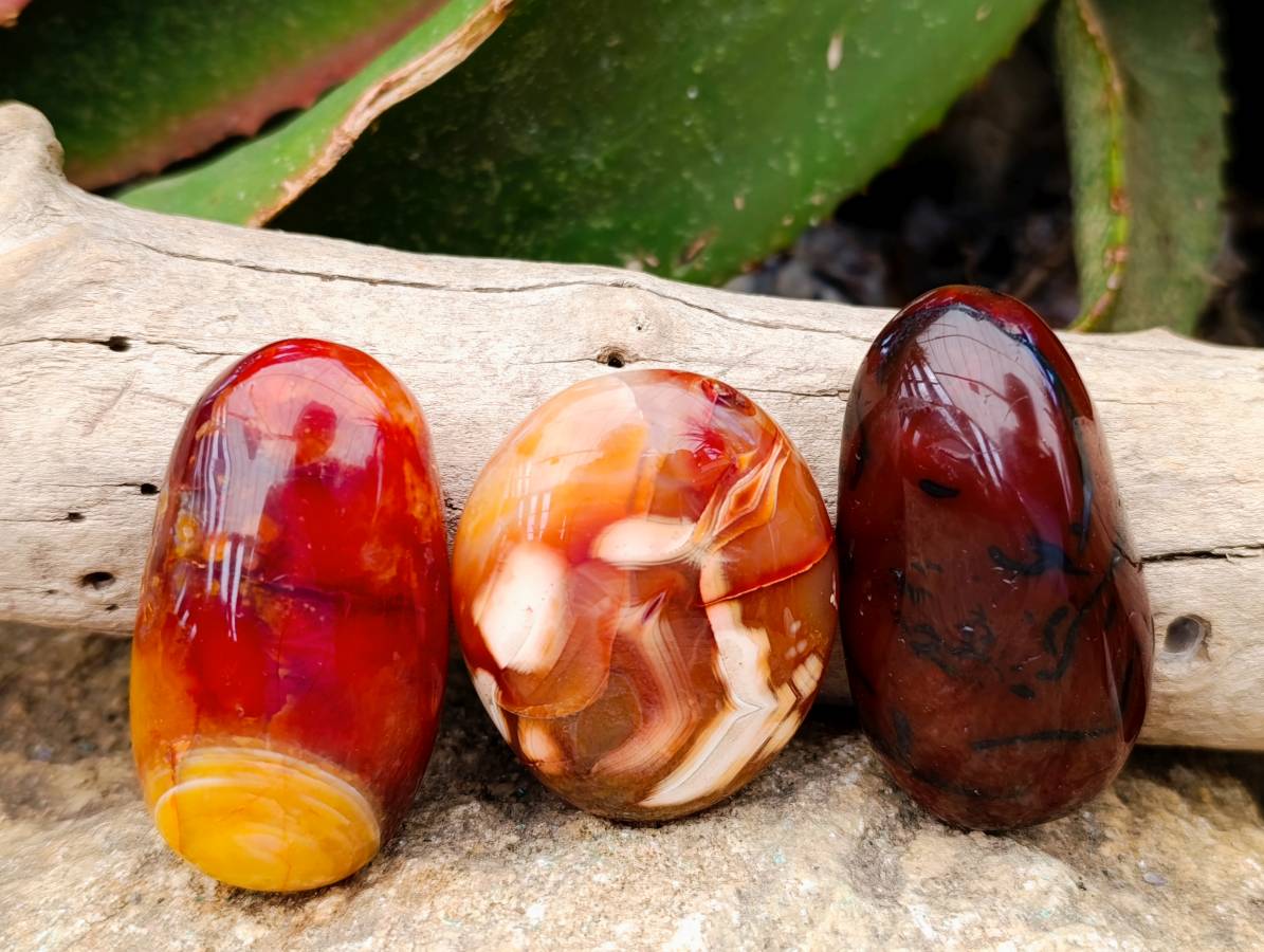 Polished Carnelian Agate Gemstone Galets x 20 From Madagascar