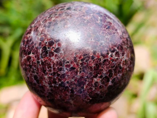 Polished Garnet Spheres x 2 From Mahajanga, Madagascar