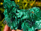 Natural Silky Malachite Specimens x 2 From Kasompe, Congo