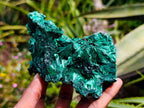 Natural Silky Malachite Specimens x 2 From Kasompe, Congo