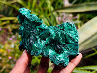Natural Silky Malachite Specimens x 2 From Kasompe, Congo