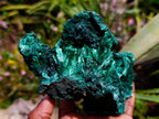 Natural Silky Malachite Specimens x 2 From Kasompe, Congo