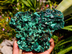 Natural Silky Malachite Specimens x 2 From Kasompe, Congo