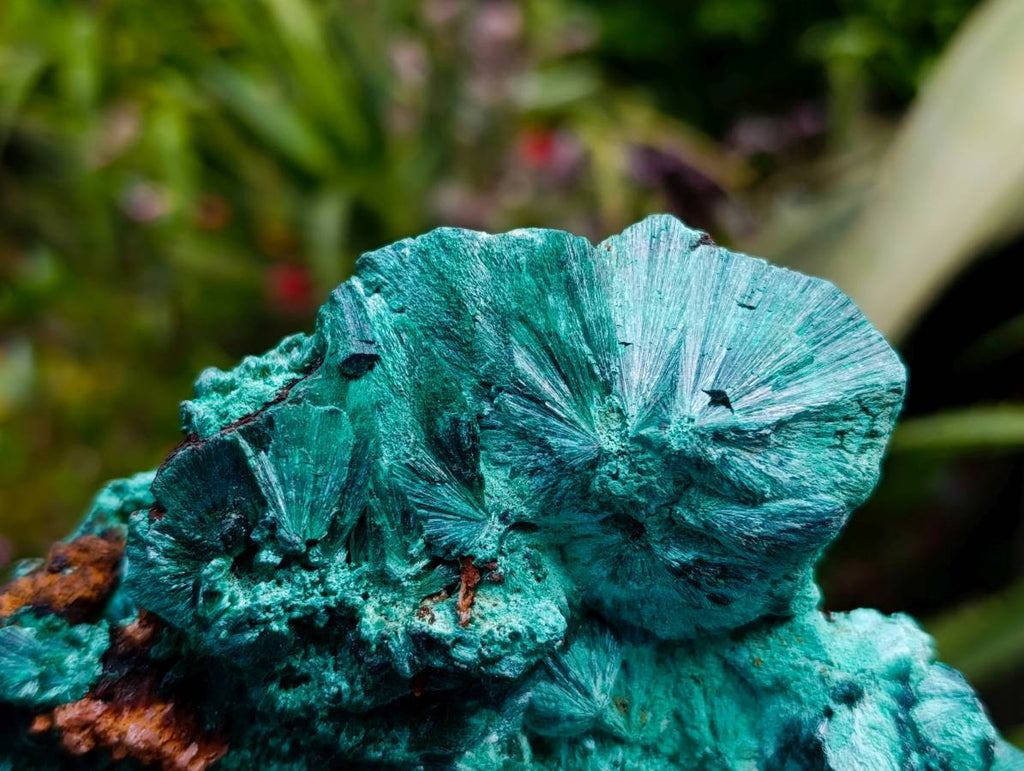 Natural Silky Malachite Specimens x 2 From Kasompe, Congo