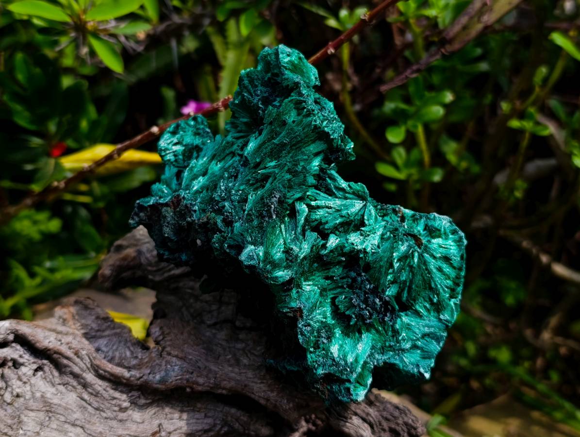 Natural Silky Malachite Specimens x 2 From Kasompe, Congo