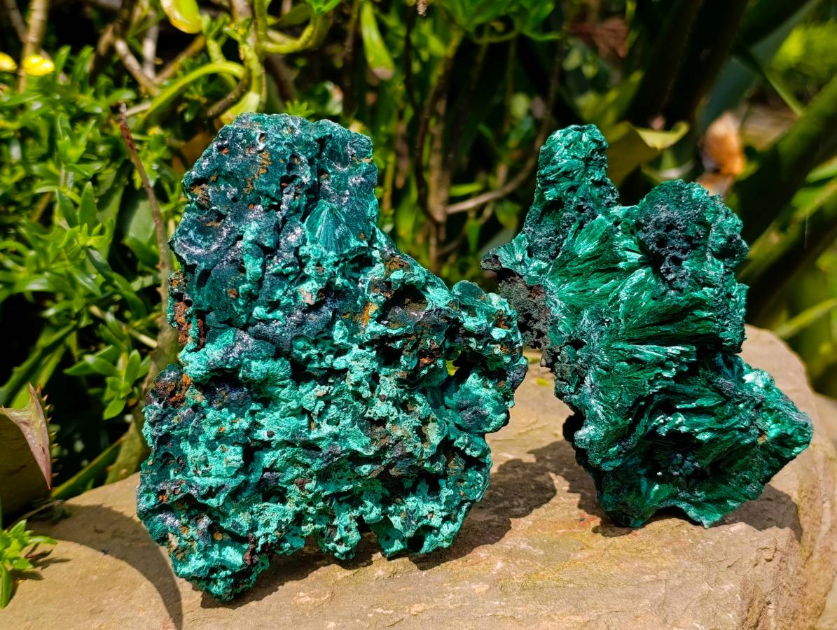 Natural Silky Malachite Specimens x 2 From Kasompe, Congo
