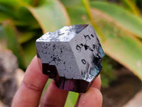 Natural Schorl Black Tourmaline Specimens x 12 From Erongo, Namibia